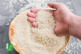 چطور میزان آرسنیک برنج را کاهش دهیم؟