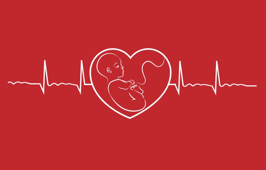 انجام خطر سنجی بیماری های قلبی و عروقی با نگاه ویژه به مادران باردار