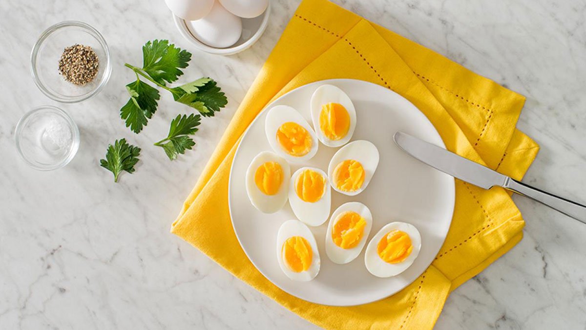 روزانه تخم مرغ مصرف کنید