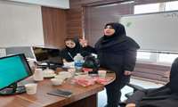 برگزاری کارگاه توانمندسازی روانشناسان مراکز خدمات جامع سلامت شهری و روستایی
