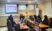 برگزاری هجدهمین کارگروه پیشگیری و مقابله با سقط عمدی جنین