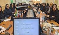 برگزاری ششمین کمیته پایش برنامه جامع مهار، پایش، پیشگیری و کاهش سقط خود به خودی و بیستمین کارگروه پیشگیری و مقابله با سقط عمدی جنین 