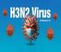 آنفلوانزای H3N2 همچنان بالاتر از آستانه هشدار